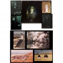 9张微粒彩屏干板幻灯片 Autochrome 和 杜菲彩色正片 Dufaycolor