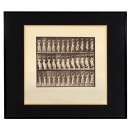 Animal Locomotion by Eadward Muybridge, 1887