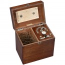 Electrotherapeutical Battery Set, c. 1900
