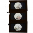 3 Magic Lantern Erotic Single Slipping Slides