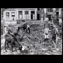 Peter Fischer: Ziegen auf den Alpen - an der Friesenstrasse (G