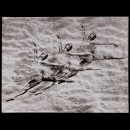 Peter Fischer: Wasserballett (Water Ballet), c. 1948-50