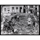 Peter Fischer: Ziegen auf den Alpen - an der Friesenstrasse (G