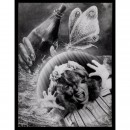 Peter Fischer: Surrealistische Montage (Surreal Montage), c. 1