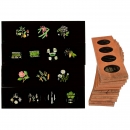 14 Copper-Plate Botanical Magic Lantern Sliders, c. 1840