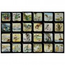 Magic Lantern Slides Water Babies, c. 1909