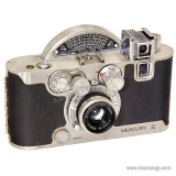 其他35mm和单反相机 (35mm and Reflex Cameras)