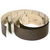 2张罕见的Anschütz幻灯片带, 约1890年