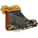 Nydia (2 ¾ x 4 in.) 约1899年