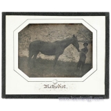 经典摄影 (Classic Photographs and Graphics)