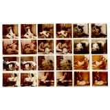 12 Nude Stereo Slides, c. 1920