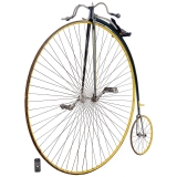 机动车和自行车 (Automobilia & Bikes)