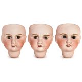 3 Petite Française Bisque Doll Heads by Verlingue, 1920s