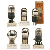 6 Rare Triode Tubes, c. 1925