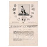 Literature: Doppelsport Carrier Pigeon Camera
