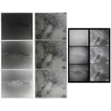 2 Three-Color Negatives (Miethe Process), c. 1910–20