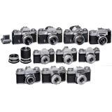 Icarex and Contaflex Family