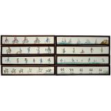 8 Hand-Painted Panoramic Lantern Slides 3 ½ x 19 in., c. 1760