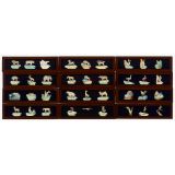 12 Magic Lantern Slides: Birds, Land and Sea Animals, c. 1850