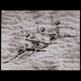 Peter Fischer: Wasserballett (Water Ballet), c. 1948-50