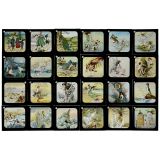 Magic Lantern Slides Water Babies, c. 1909