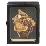 医药技术 Pharmacy and Medical Technology