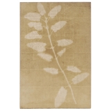 经典摄影 Classic Photographs